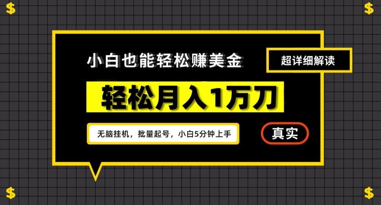 谷歌看广告撸美金2.0，无脑挂机，多号操作，月入1万刀【揭秘】-腾渊网创