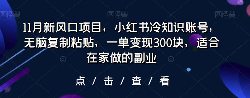 11月新风口项目，小红书冷知识账号，无脑复制粘贴，一单变现300块，适合在家做的副业-腾渊论坛