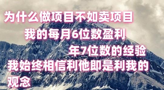 做项目不如卖项目，每月6位数盈利，年7位数经验-腾渊网创