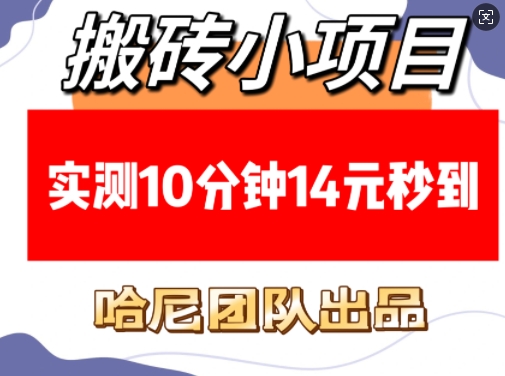 搬砖小项目，实测10分钟14元秒到，每天稳定几张(赠送必看稳定)-腾渊网创