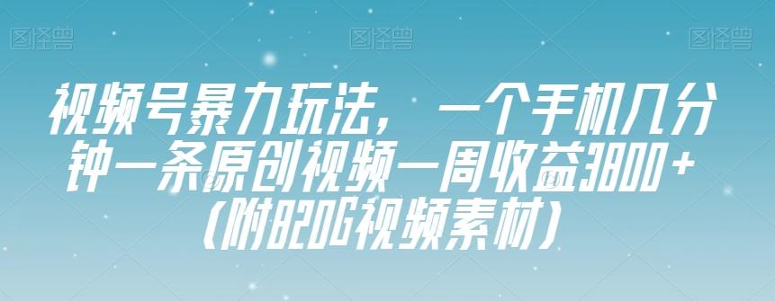 视频号暴力玩法，一个手机几分钟一条原创视频一周收益3800+（附820G视频素材）-腾渊网创
