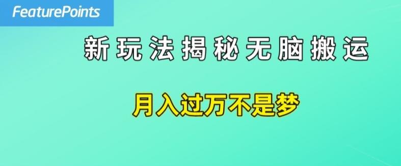 简单操作，每天50美元收入，搬运就是赚钱的秘诀【揭秘】-腾渊网创