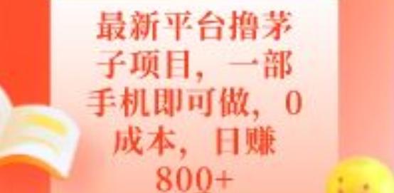 最新平台撸茅子项目，一部手机即可做，0成本，日赚800+-腾渊论坛