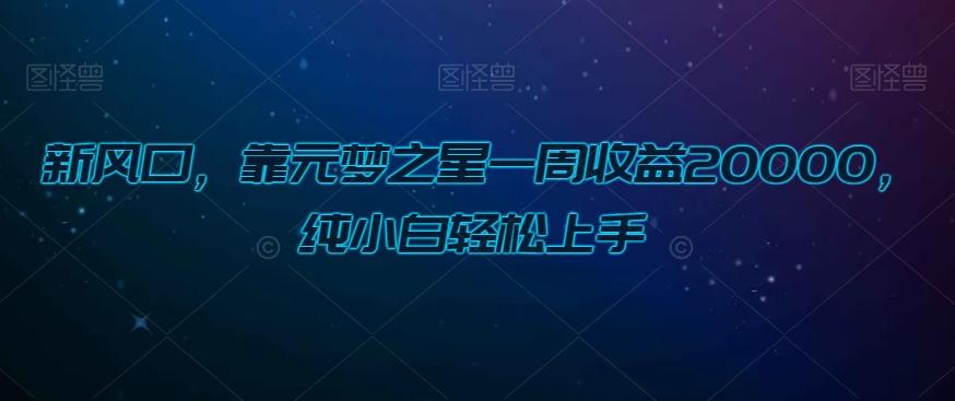 新风口，靠元梦之星一周收益20000，纯小白轻松上手-腾渊论坛