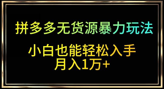 拼多多无货源暴力玩法，全程干货，小白也能轻松入手，月入1万+【揭秘】-腾渊网创