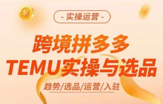 跨境拼多多TEMU实操与选品，多多temu跨境选品运营实操-腾渊网创