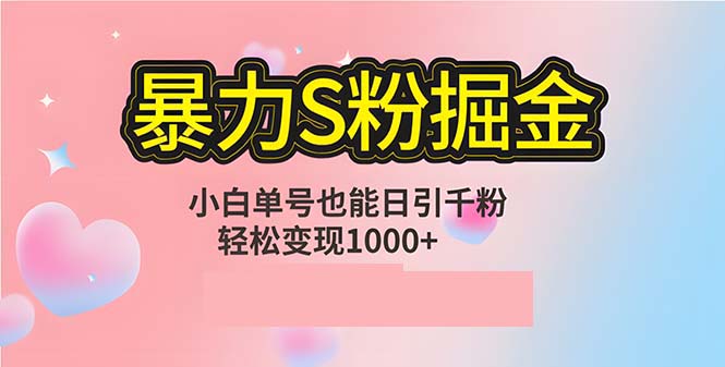 单人单机日引千粉，变现1000+，S粉流量掘金计划攻略-腾渊网创