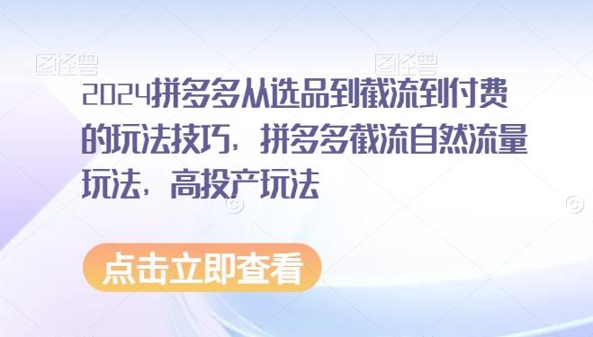 2024拼多多从选品到截流到付费的玩法技巧，拼多多截流自然流量玩法，高投产玩法-腾渊论坛