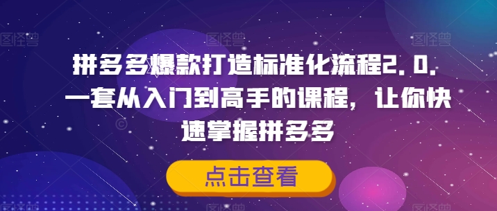拼多多爆款打造标准化流程2.0，一套从入门到高手的课程，让你快速掌握拼多多-腾渊网创