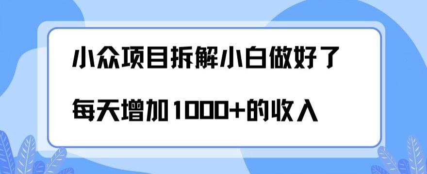小众项目拆解，小白做好了每天可增加1000多的收入-腾渊网创
