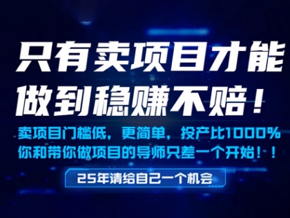 只有卖项目才能做到稳挣不赔，门槛低，更简单，你也可以年入百个W【揭秘】-腾渊论坛