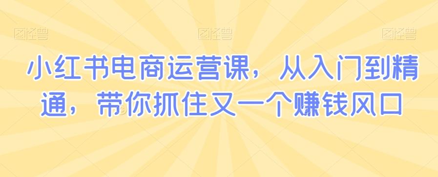 小红书电商运营课，从入门到精通，带你抓住又一个赚钱风口-腾渊网创