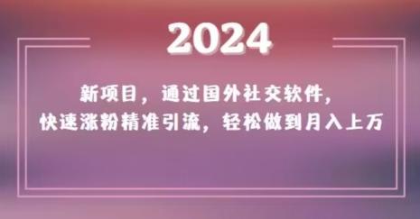 2024新项目，通过国外社交软件，快速涨粉精准引流，轻松做到月入上万【揭秘】-腾渊网创
