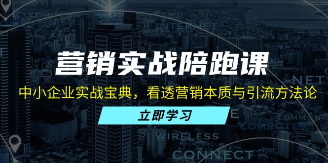营销实战陪跑课：中小企业实战宝典，看透营销本质与引流方法论-腾渊网创