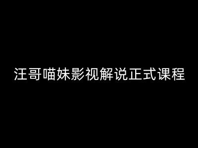 汪哥影视解说正式课程：剪映/PR教学/视解说剪辑5大黄金法则/全流程剪辑7把利器等等-腾渊网创