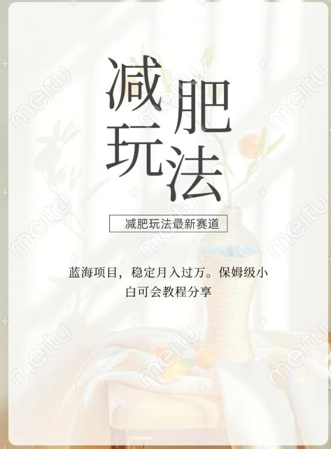 减肥流量主新玩法，轻松月入1W，可矩阵操作收入翻倍-腾渊网创