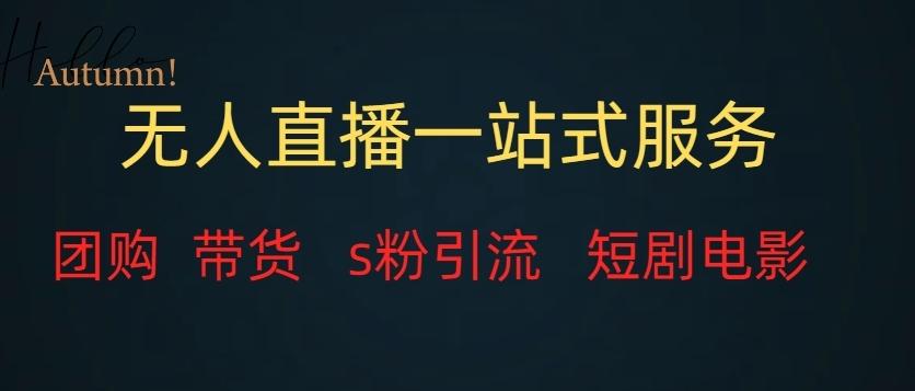 无人直播一站式服务（教程以及变现方式）-腾渊网创