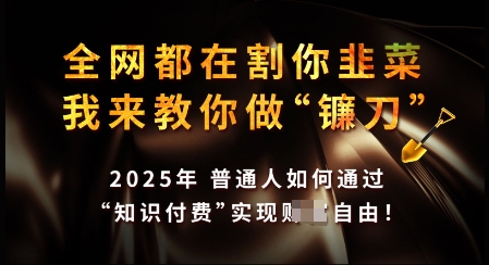 知识付费如何做到月入过W+，2025我来教你做“镰刀”【揭秘】-腾渊网创
