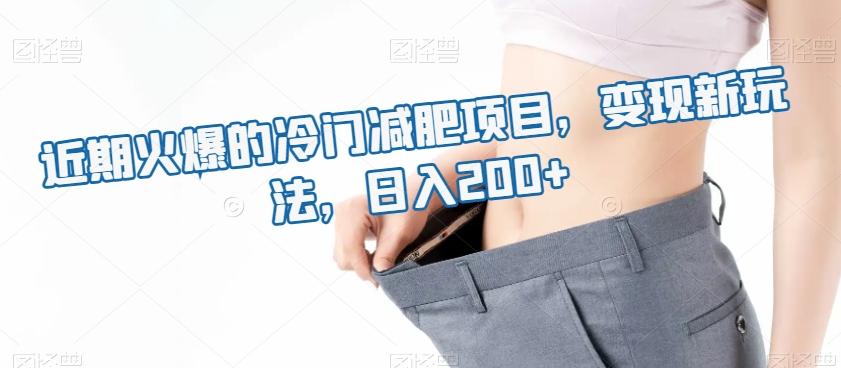 近期火爆的冷门减肥项目，变现新玩法，日入200+-腾渊网创