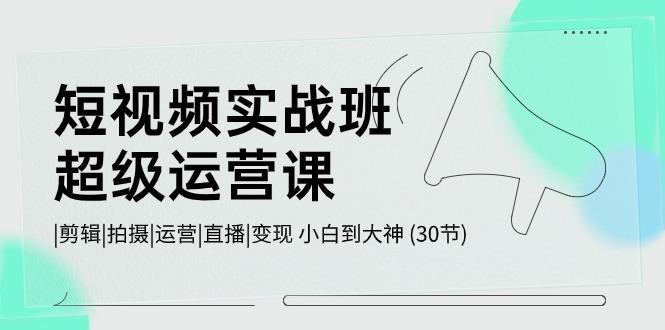 短视频实战班超级运营课 |剪辑|拍摄|运营|直播|变现 小白到大神 (30节)-腾渊网创