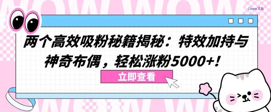 两个高效吸粉秘籍揭秘：特效加持与神奇布偶，轻松涨粉5000+【揭秘】-腾渊论坛