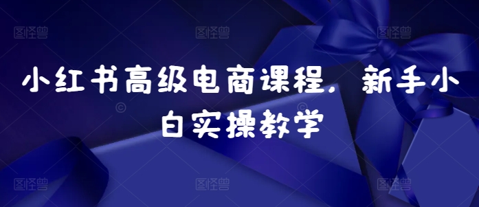 小红书高级电商课程，新手小白实操教学-腾渊网创