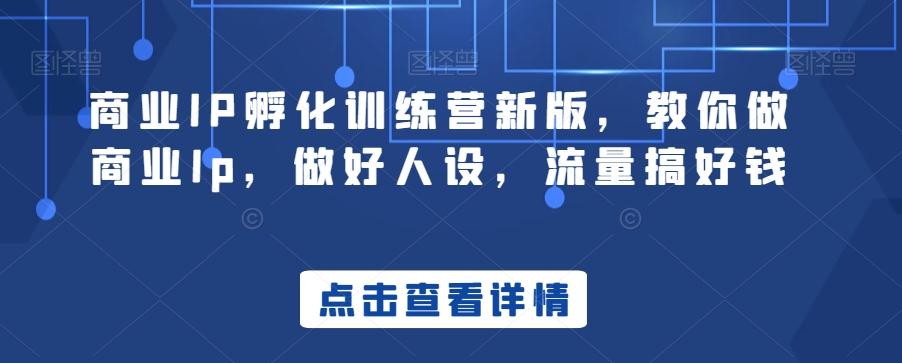 商业IP孵化训练营新版，教你做商业Ip，做好人设，流量搞好钱-腾渊网创