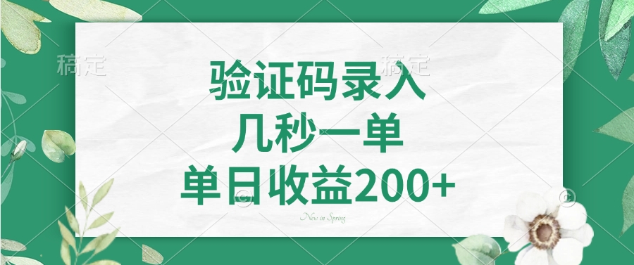 验证码录入，几秒一单，单日收益200+-腾渊网创