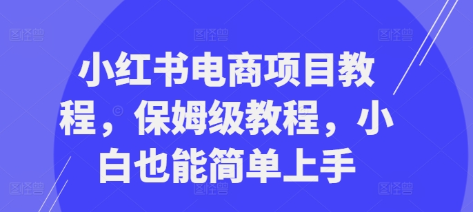 小红书电商项目教程，保姆级教程，小白也能简单上手-腾渊网创