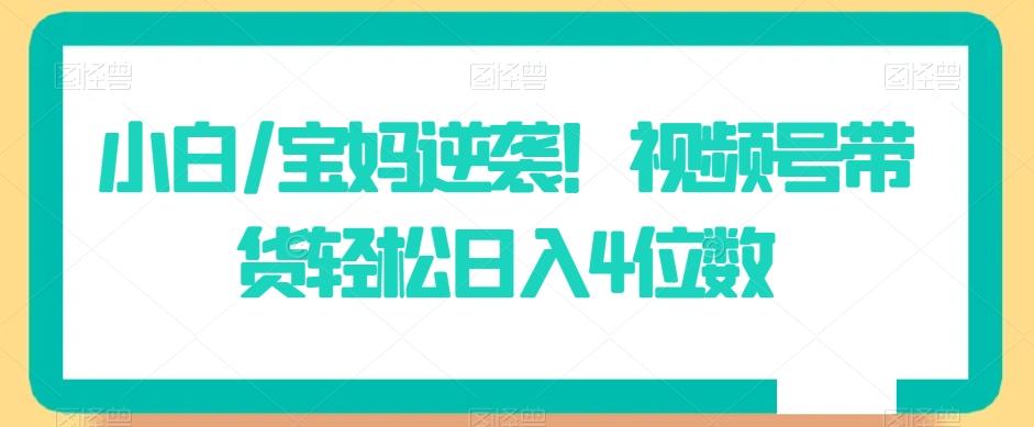 小白/宝妈逆袭！视频号带货轻松日入4位数【揭秘】-腾渊网创