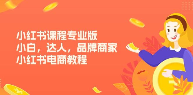 小红书课程专业版，小白，达人，品牌商家，小红书电商教程(15节-腾渊网创