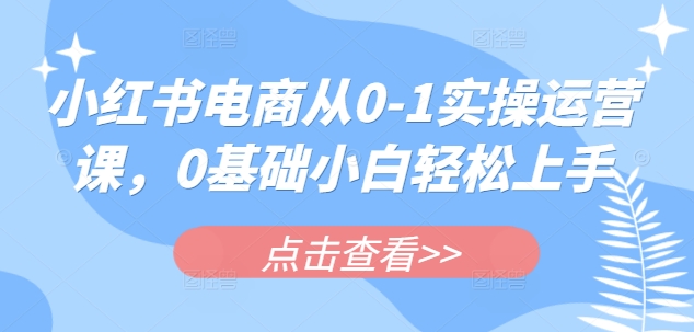 小红书电商从0-1实操运营课，0基础小白轻松上手-腾渊网创