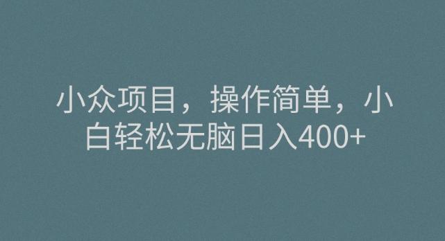 小众项目，操作简单，小白轻松无脑日入400+-腾渊论坛