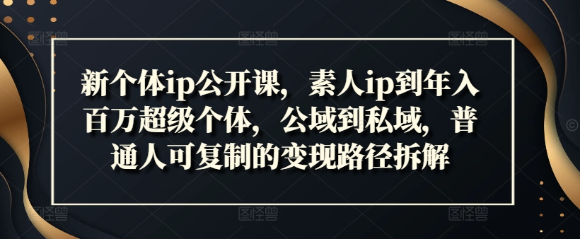 新个体ip公开课，素人ip到年入百万超级个体，公域到私域，普通人可复制的变现路径拆解-腾渊网创