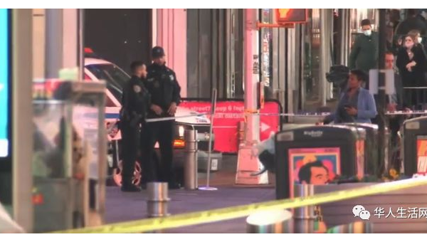 标题优化趋势：紧跟时代步伐提升网站曝光-腾渊论坛