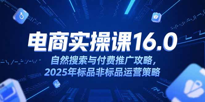 淘宝电商运营课16.0，自然搜索与付费推广攻略，2025年标品非标品运营策略-腾渊网创