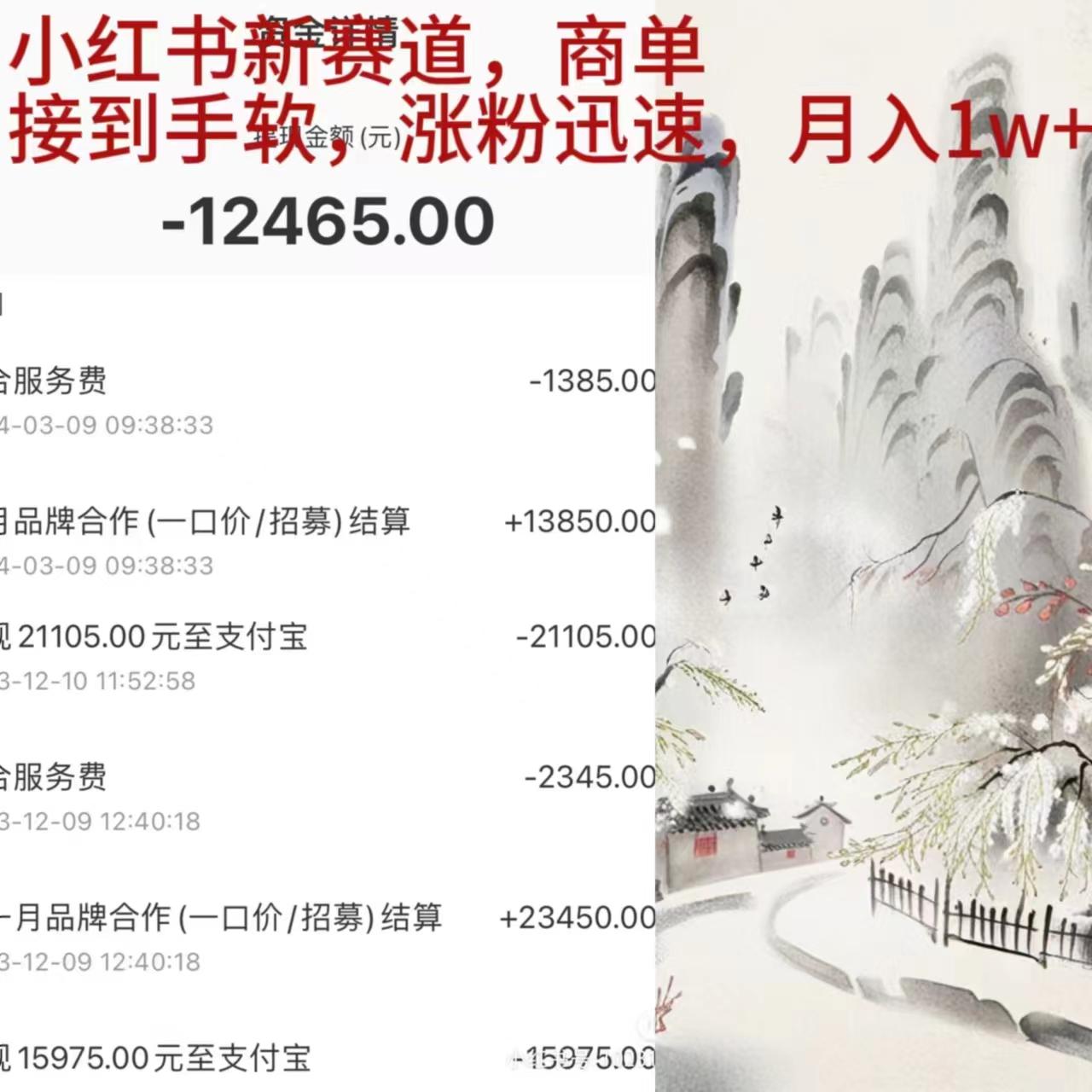 (9476期)小红书新赛道，商单接到手软，涨粉迅速，月入1w+-腾渊网创