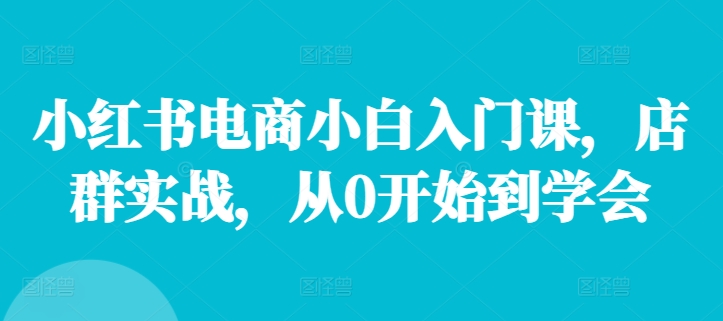 小红书电商小白入门课，店群实战，从0开始到学会-腾渊网创