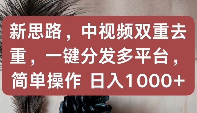 新思路，中视频双重去重，一键分发多平台，简单操作，日入1000+【揭秘】-腾渊网创