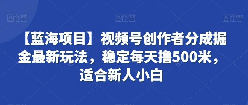 【蓝海项目】视频号创作者分成掘金最新玩法，稳定每天撸500米，适合新人小白【揭秘】-腾渊网创