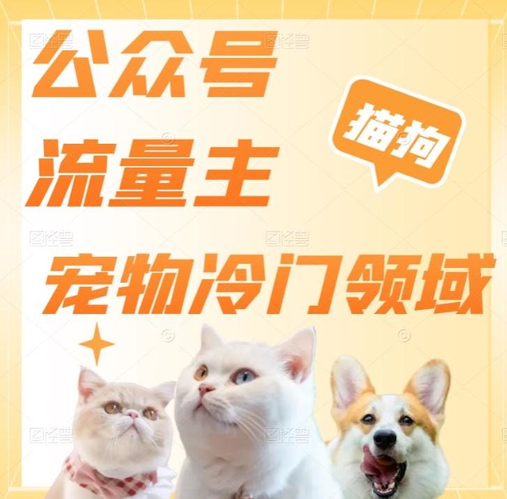 公众号流量主，萌宠冷门领域，单日收益2000+，简单暴力掘金，矩阵操作，无限放大收益！-腾渊论坛