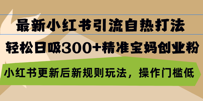 最新小红书引流自热打法，轻松日吸300+精准宝妈创业粉，小红书更新后新...-腾渊网创