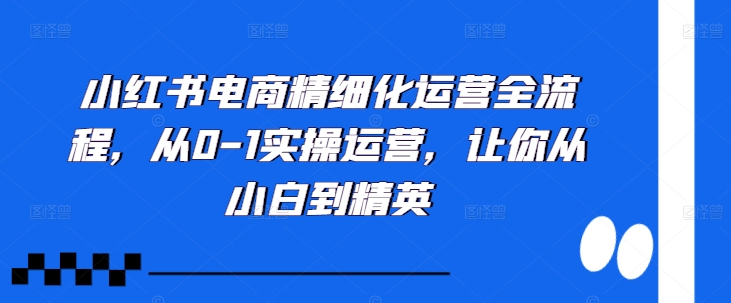 小红书电商精细化运营全流程，从0-1实操运营，让你从小白到精英-腾渊网创