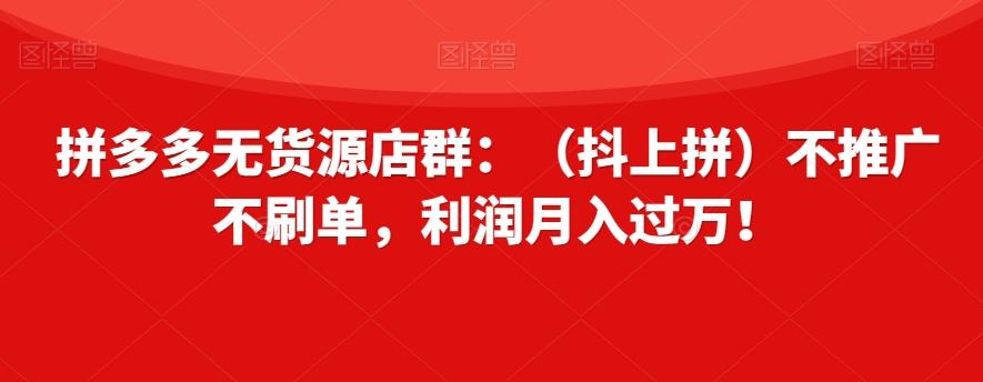拼多多无货源店群：（抖上拼）不推广不刷单，利润月入过万！【揭秘】-腾渊网创