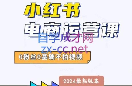 达哥·小红书电商运营(2024版)-腾渊网创