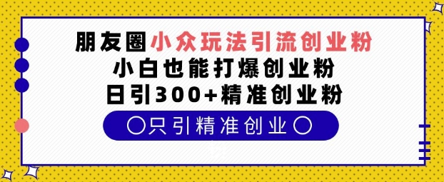 朋友圈小众玩法引流创业粉，小白也能打爆创业粉，日引300+精准创业粉【揭秘】-腾渊网创