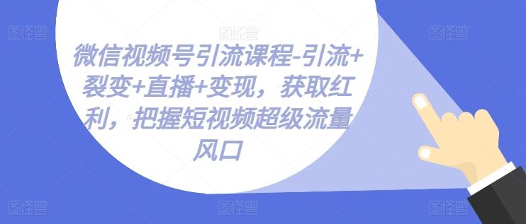 微信视频号引流课程-引流+裂变+直播+变现，获取红利，把握短视频超级流量风口-腾渊网创