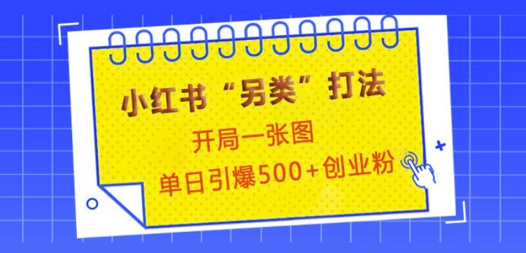 小红书“另类”打法，开局一张图，单日引爆500+精准创业粉【揭秘】-腾渊网创