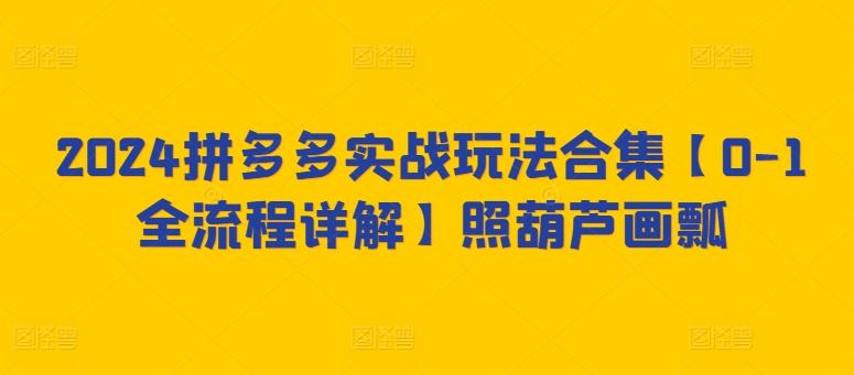 2024拼多多实战玩法合集【0-1全流程详解】照葫芦画瓢-腾渊网创