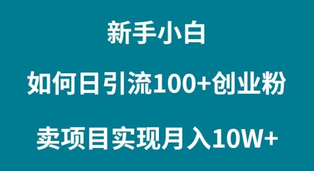 (9556期)新手小白如何通过卖项目实现月入10W+-腾渊网创